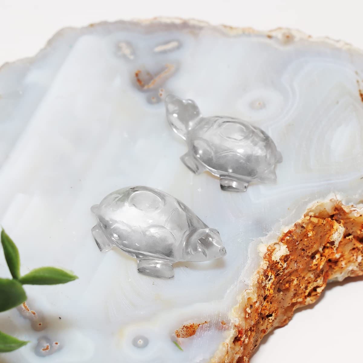 Clear Quartz Craystal Mini Tortoise, Symbol of Wisdom, Knowledge and Good Luck - Image 5