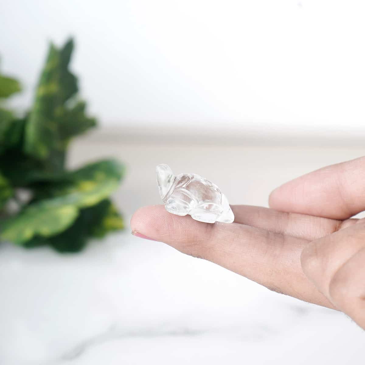 Clear Quartz Craystal Mini Tortoise, Symbol of Wisdom, Knowledge and Good Luck