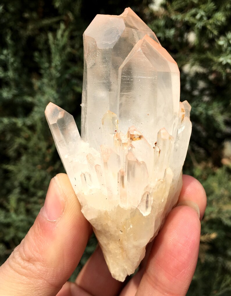 Quartz crystal Phantom Family