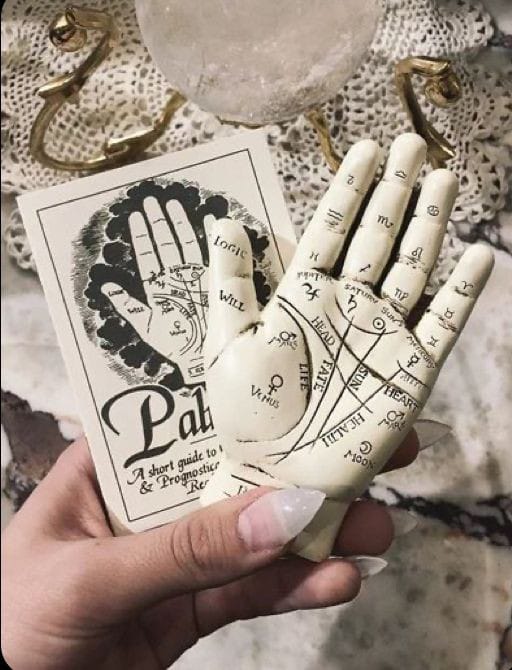 Palmistry Course-Beginner